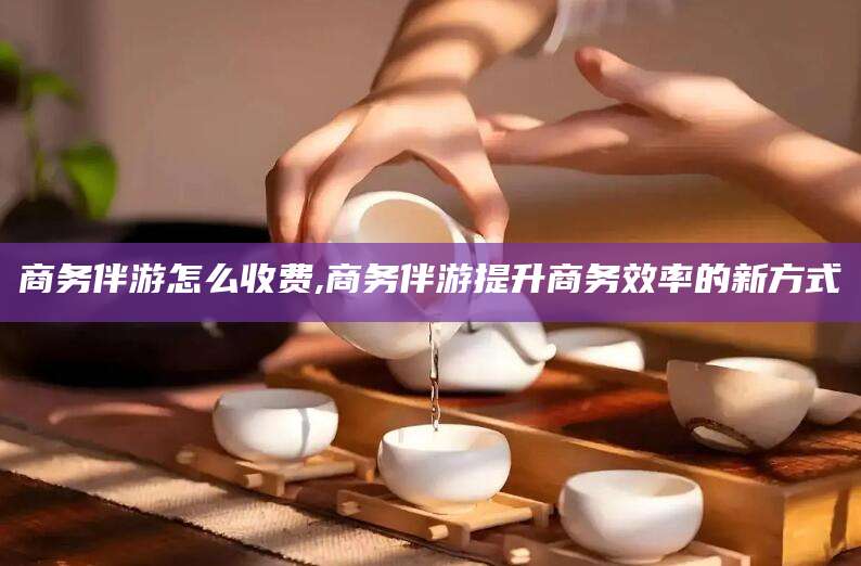 泉州商务伴游怎么收费,商务伴游提升商务效率的新方式